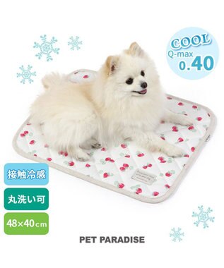 PET PARADISE 犬 クール マット 冷感 柔らか クールマット (48×40cm) 苺 くまちゃん ネイティブ 接触冷感 ひんやり ペット 苺柄