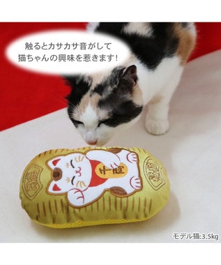 ヘビと猫 hq720.jpg?sqp=-