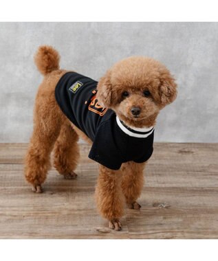 PET PARADISE Lee ネオン Tシャツ 《ブラック》 小型犬 ブラック