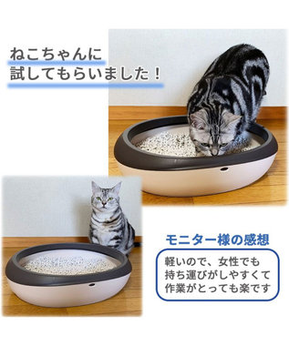【ねこサンド】 楽天市場】mofusand ミラー フロッキー サメにゃん ブルー
