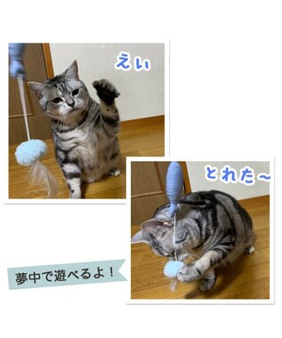 PET PARADISE 猫 おもちゃ 猫じゃらし 魚 トイ 魚