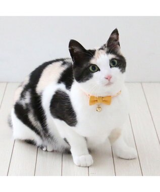 PET PARADISE ペットパラダイス 猫 首輪 チロリアン 《イエロー》 イエロー