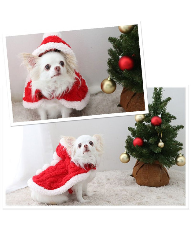 PET PARADISE ペットパラダイス サンタ ポンチョ 小型犬 サンタ