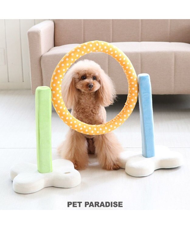 PET PARADISE 犬 トイ TOY ペットパラダイス アジリティ セット 訓練 ドッグアジリティ トレーニング マルチカラー