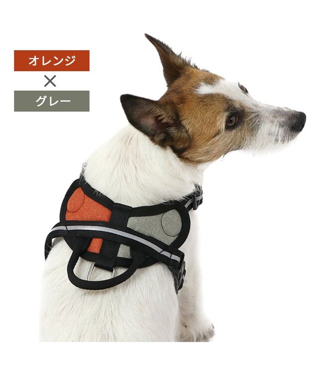 PET PARADISE ヘッドインハーネス 【Ｓ】 オレンジ / ブルー【  小型犬】 オレンジ×グレー