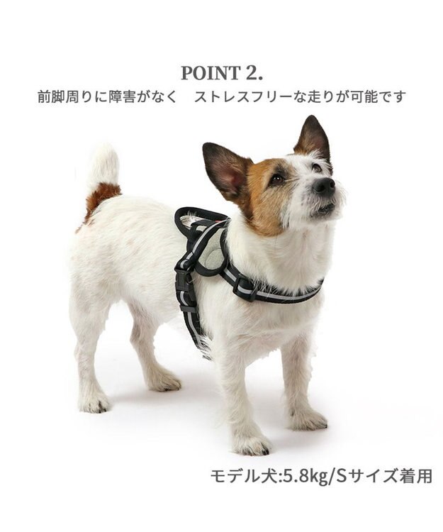 PET PARADISE ヘッドインハーネス 【Ｓ】 オレンジ / ブルー【  小型犬】 オレンジ×グレー