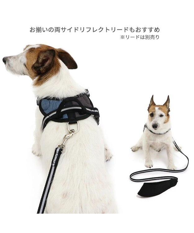 PET PARADISE ヘッドインハーネス 【Ｓ】 オレンジ / ブルー【  小型犬】 ブルー×ブラウン