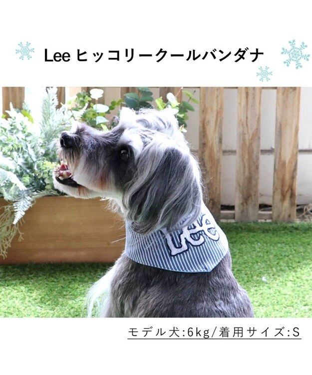 PET PARADISE Ｌｅｅヒッコリークールネック バンダナ 《保冷剤付き》【小型犬】 水色