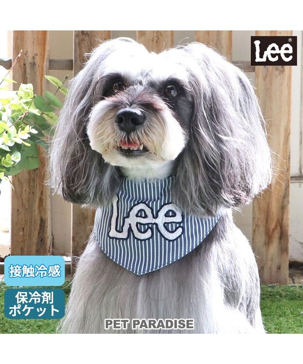PET PARADISE Ｌｅｅヒッコリークールネック バンダナ 《保冷剤付き》【小型犬】 水色