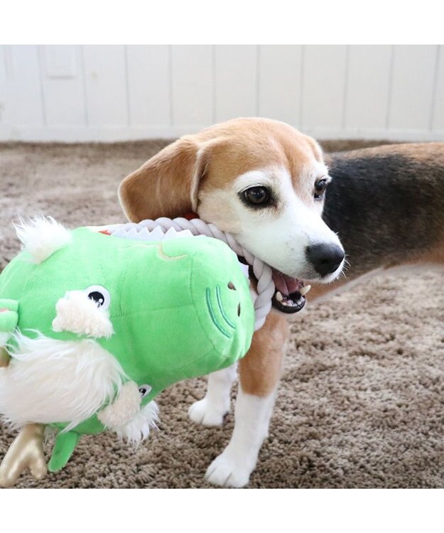 PET PARADISE ロープパペット トイ 干支おもちゃ 辰 緑