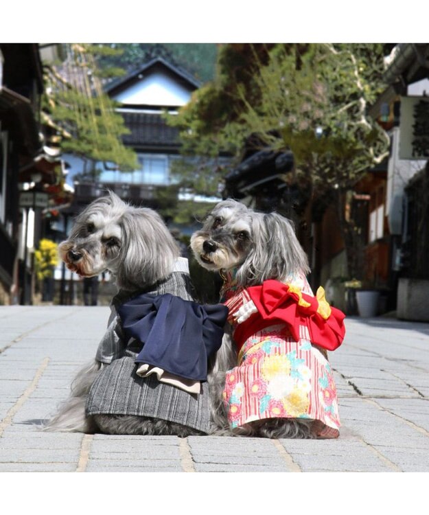 PET PARADISE ペットパラダイス 黒白 浴衣 とんぼ刺繍 中型犬 大型犬 黒