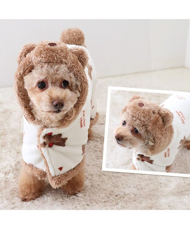 ペットパラダイス 着る毛布 ペットパラダイス くまちゃん 着る毛布 小型犬 / PET PARADISE