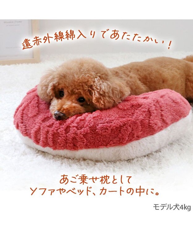 PET PARADISE ペットパラダイス 遠赤外線 アランボア ピロー レッド