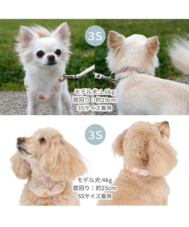 PET PARADISE ペットパラダイス １８℃ クールリング ＳＳ 《アイス柄》 ピンク