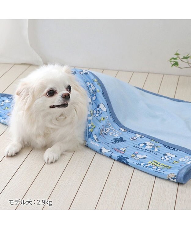 スヌーピー クールケット 《バケーション柄》 小型犬 / PET