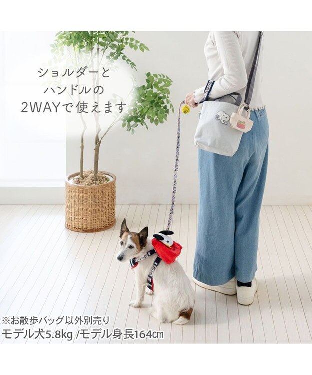 PET PARADISE スヌーピー 45th お散歩バッグ ライトグレー