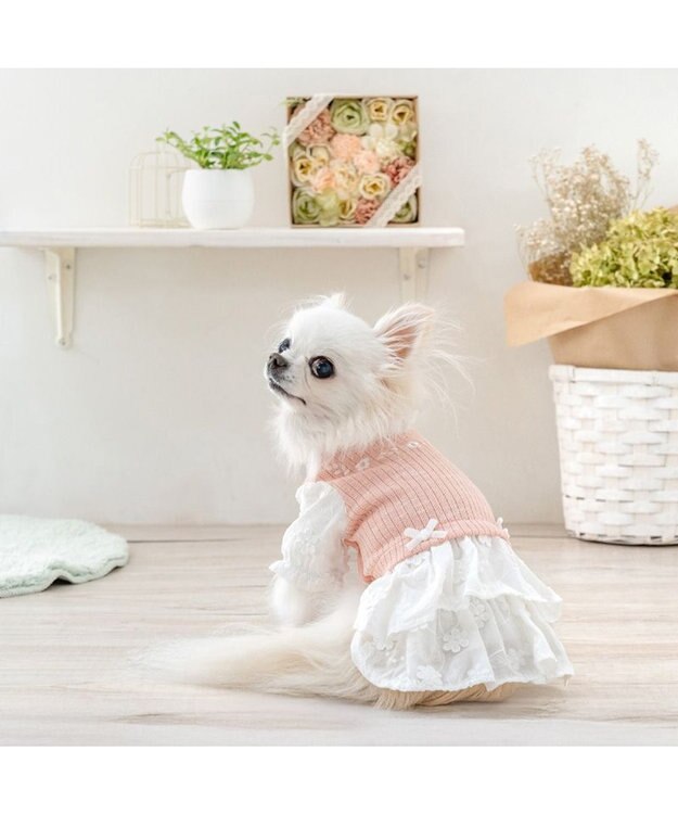 PET PARADISE ペットパラダイス ナチュラル ワンピース 《小花》 小型犬 ピンク×ホワイト