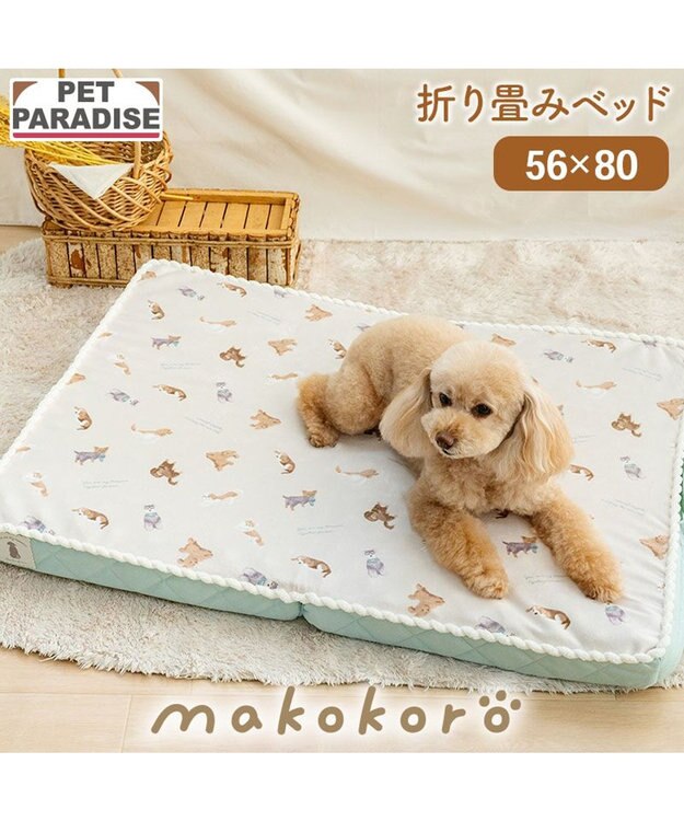 PET PARADISE ペットパラダイス makokoro シニアベッド 《犬柄》 Ｍ -