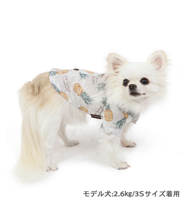 PET PARADISE パイナップル柄 アロハシャツ 【小型犬】 ベージュ