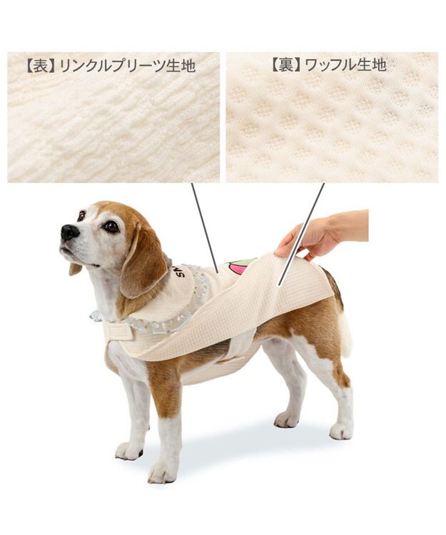 PET PARADISE スヌーピー バースデー ポンチョ 中型犬 大型犬 オフホワイト