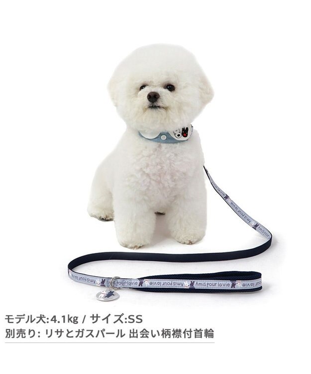 PET PARADISE リサとガスパール リード 《であい柄》リフレクトチャーム付き  ４Ｓ～３Ｓ グレー