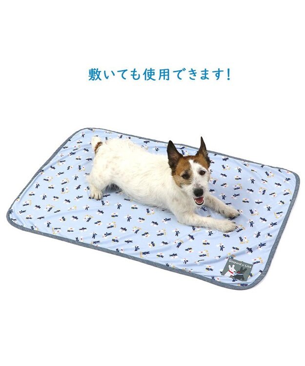 リサとガスパール クールブランケット (90×60cm) / PET PARADISE