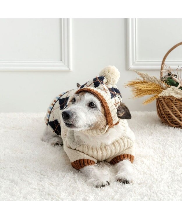 PET PARADISE ペットパラダイス ニット 《アーガイル柄》 小型犬 ホワイト