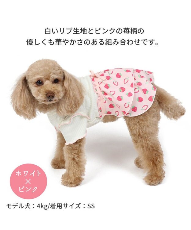 PET PARADISE 犬の服 犬 ワンピース 【小型犬】 苺柄 リブ ピンク レッド ホワイト×ピンク