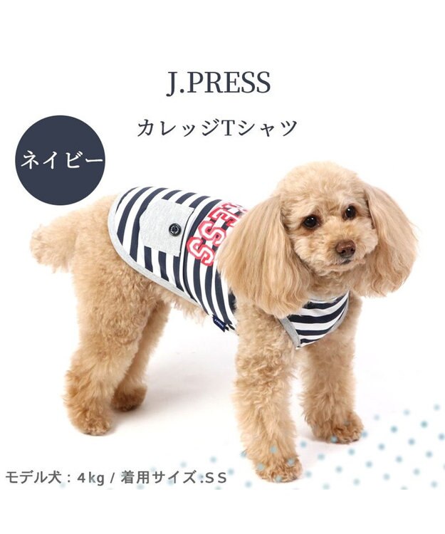 PET PARADISE 犬の服 春夏 ひんやり クール メッシュ 接触冷感 虫除け  J.PRESS カレッジ  Tシャツ 【小型犬】ネイビー オレンジ クールマックスエコメイド ネイビー