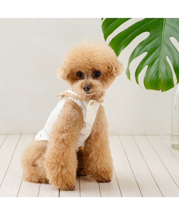 PET PARADISE ペットパラダイス くまちゃん ポケットクール タンクトップ 《アイス柄》 小型犬 ホワイト×ブラウン