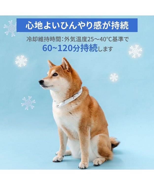 PET PARADISE ペットパラダイス ２８℃ クールリング Ｍ 《サメ柄》 ブルー