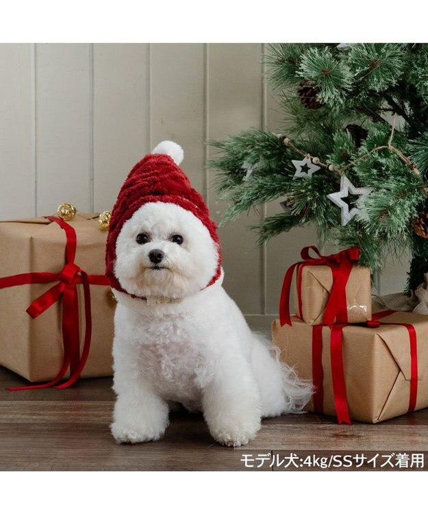 PET PARADISE ペットパラダイス サンタさん 帽子　４Ｓ～３Ｓ / ＳＳ～Ｓ 小型犬 レッド