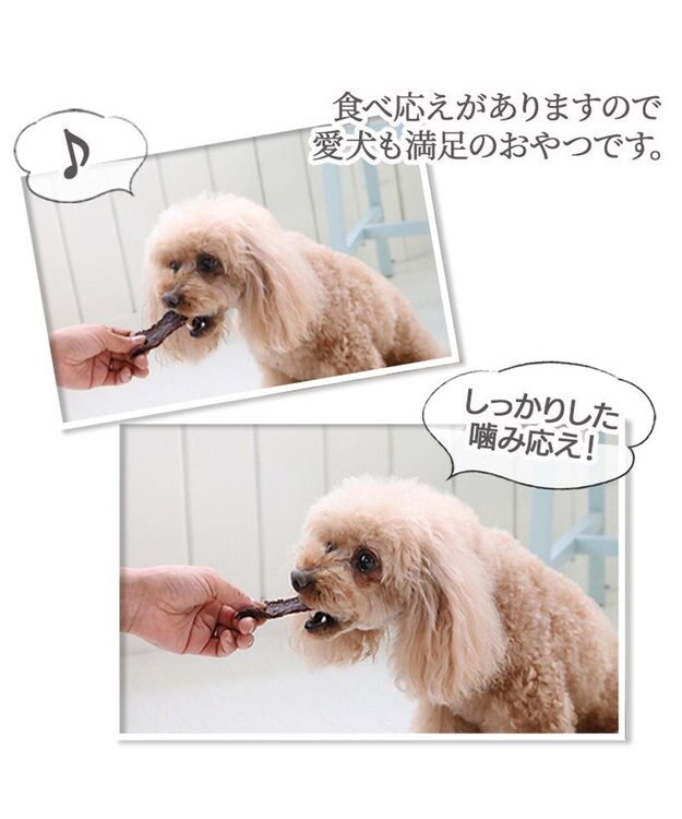 PET PARADISE 馬肉 スライス ジャーキー 大袋 100g 国産 -