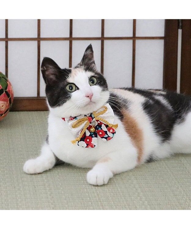 PET PARADISE ペットパラダイス 和帯 ねこ首輪 《紺》 小 / 中 紺