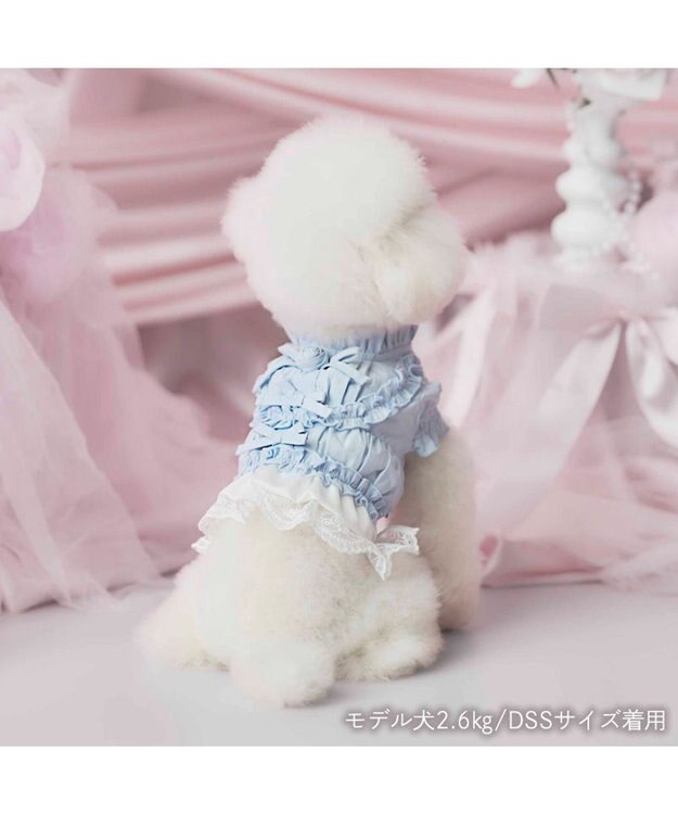 PET PARADISE cherircouture フリルシャツ 《ライトブルー》 小型犬 ライトブルー