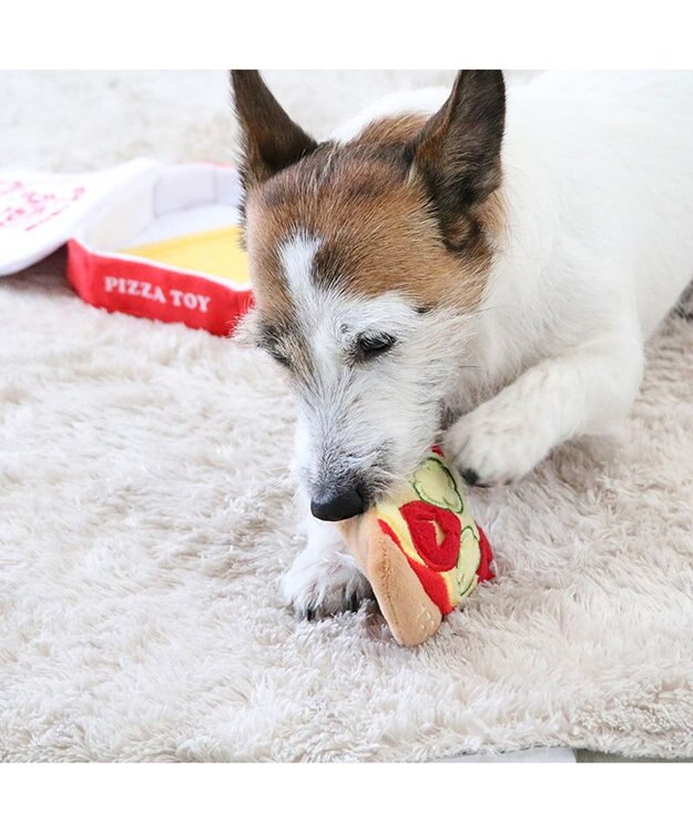 PET PARADISE ペットパラダイス ノーズワークトイ 《ピザ》 イエロー