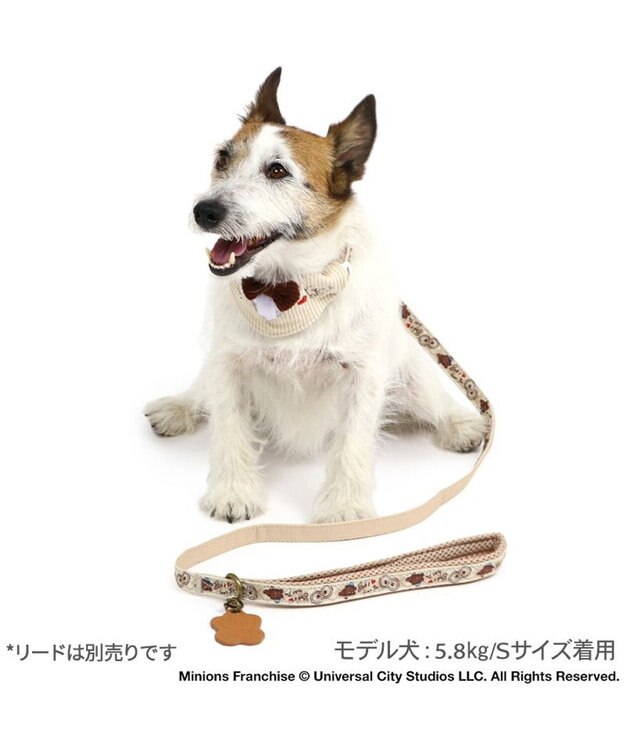 PET PARADISE ミニオン ティム アーガイル 首輪 小型犬 SS ティム