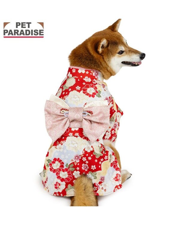 PET PARADISE ペットパラダイス 菊 牡丹 着物 中型犬 大型犬 レッド