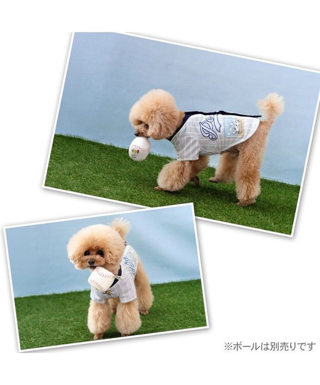 PET PARADISE スヌーピー ベースボール Ｔシャツ 《グレー》 小型犬 グレー