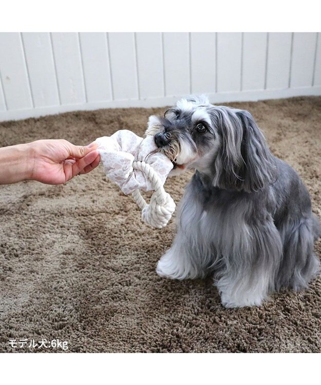 PET PARADISE ペットパラダイス 引っ張り シュシュ トイ  《 花柄 / ドット柄 》 花柄