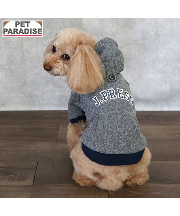 PET PARADISE J.PRESS メッシュ パーカー  小型犬 杢グレー