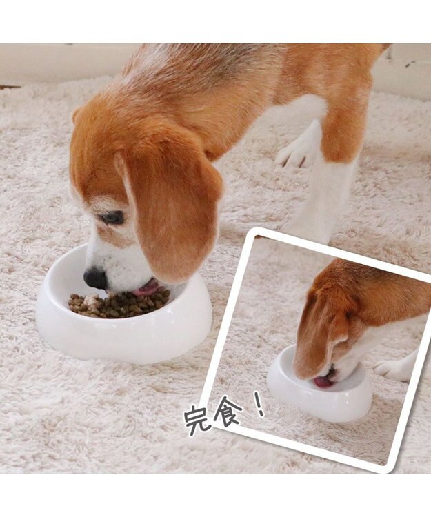 PET PARADISE リアル フードパウチ スープ レバー＆キャロット 50g×3パック 国産 0