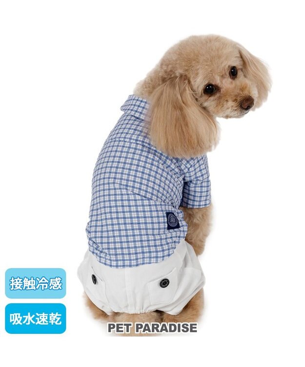 PET PARADISE J.PRESS パンツ つなぎ 《チェック》 小型犬 ホワイト×ブルー