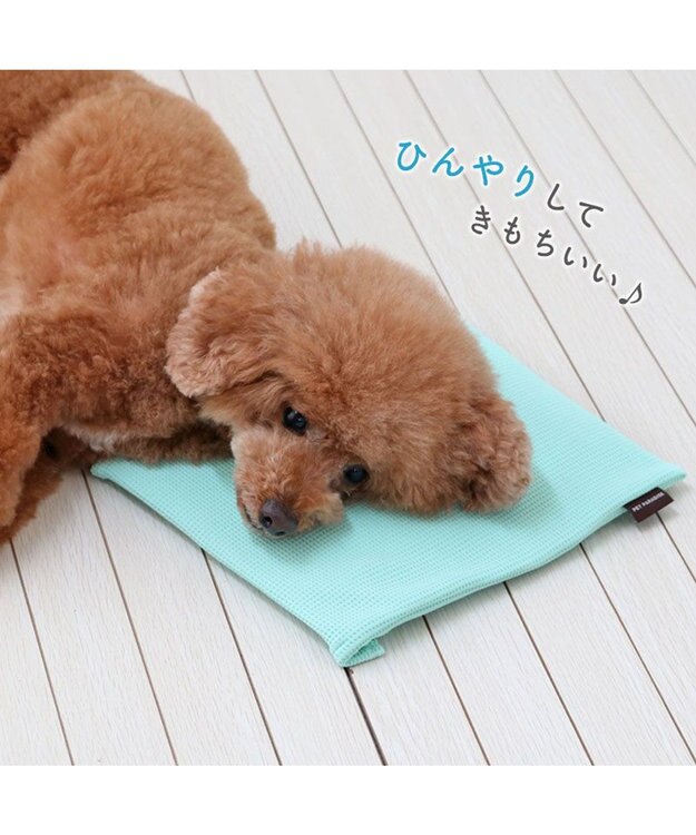 PET PARADISE ペットパラダイス  コンパクトクーラー 2025 ミント