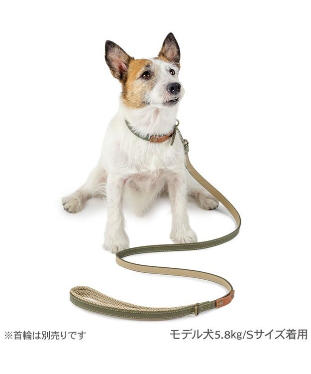 PET PARADISE ペットパラダイス 合皮 リード 《カーキ》 小型犬 4S～３S カーキ