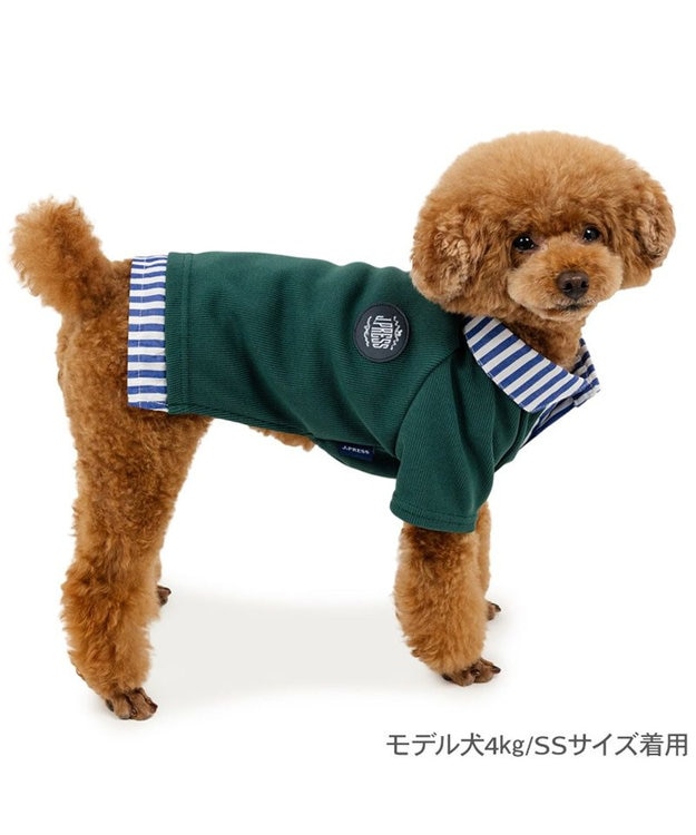 PET PARADISE J.PRESS フライス ポロシャツ 小型犬 ダークグリーン