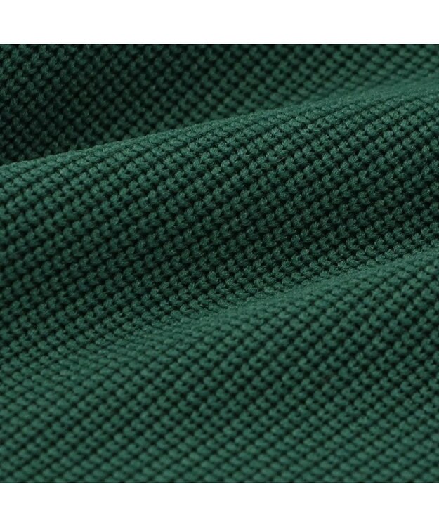 PET PARADISE J.PRESS フライス ポロシャツ 小型犬 ダークグリーン