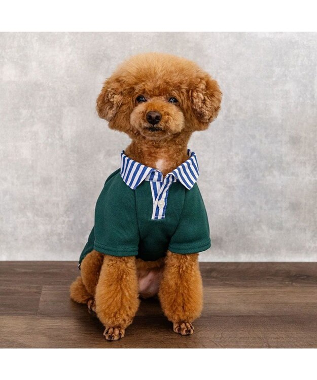 PET PARADISE J.PRESS フライス ポロシャツ 小型犬 ダークグリーン