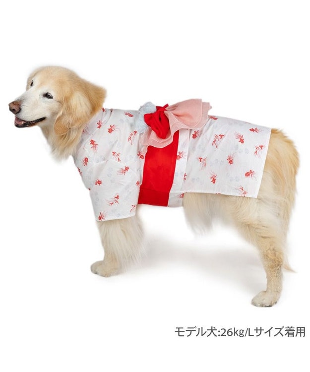 ペットパラダイス 浴衣 《遊泳金魚》 中型犬 大型犬 / PET
