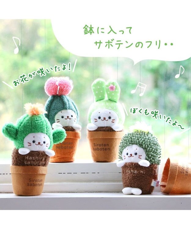 Mother garden しろたん サボテン マスコット 《柱サボテン》 柱サボテン